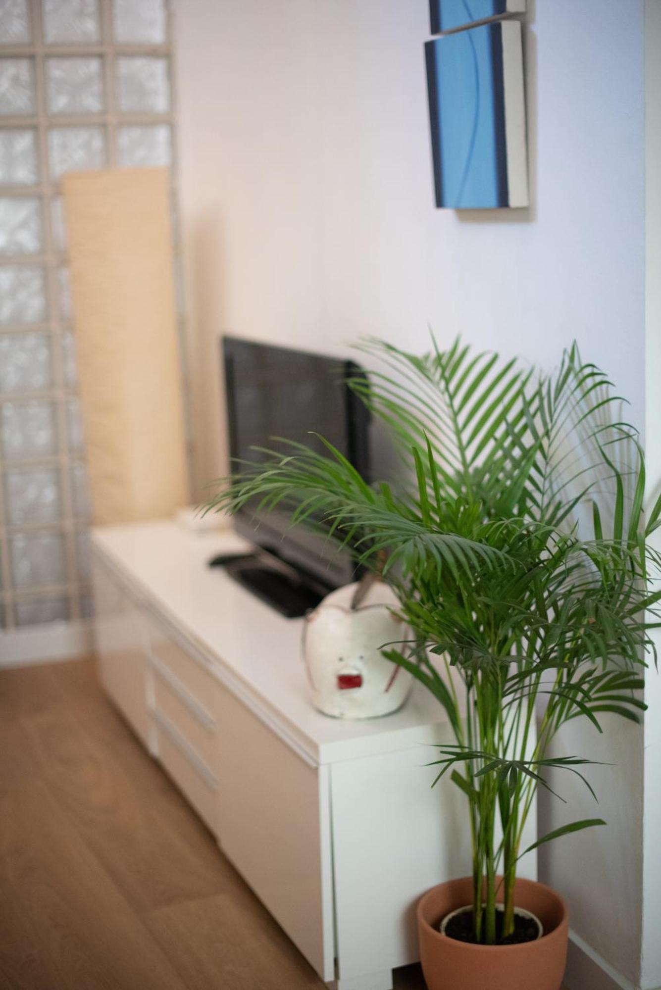 Cozy & Quiet Apartment In The Center Màlaga Exteriér fotografie
